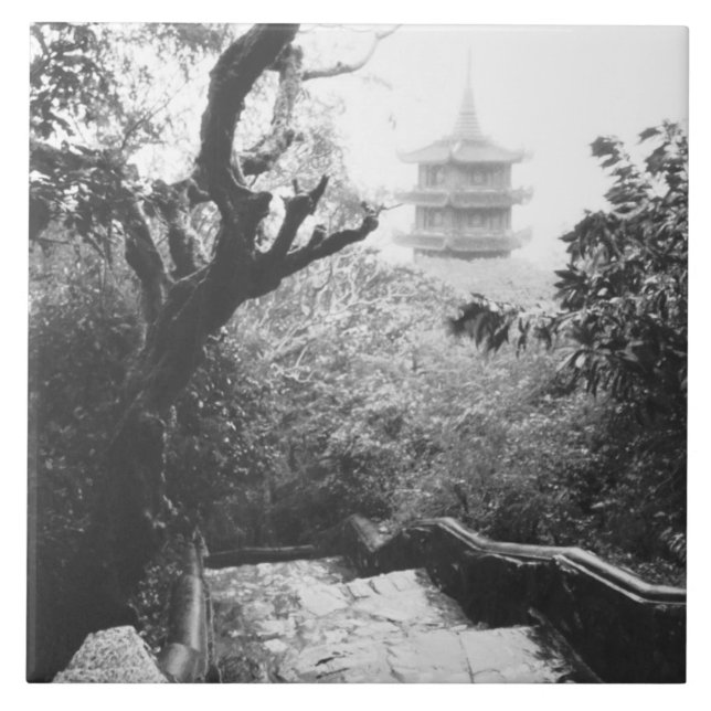 Carreau Danang Vietnam, vue du temple de Marble Mountain (Devant)