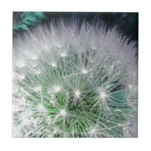 Carreau Dandelion cool vert et blanc avec gouttes d'eau