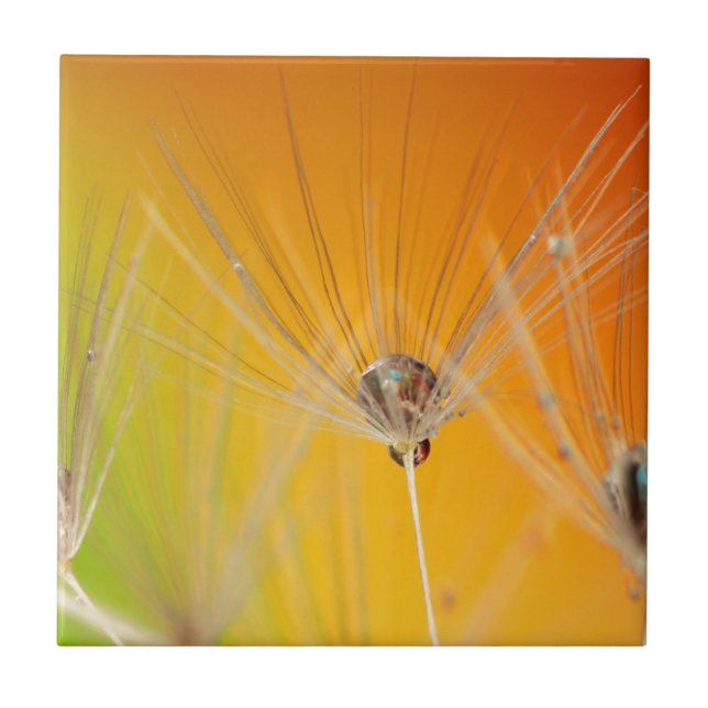 Carreau Dandelion Fleurs Destiny Peace Love Art (Devant)