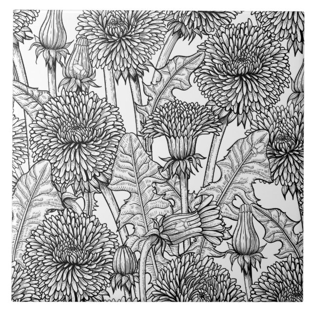 Carreau Dandelions, noir et blanc (Devant)