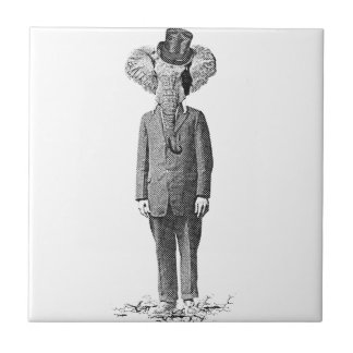 Carreau Dandy d'éléphant