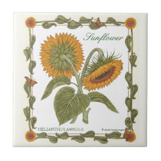 Carreau Dans la tuile de tournesol de ~ de jardin