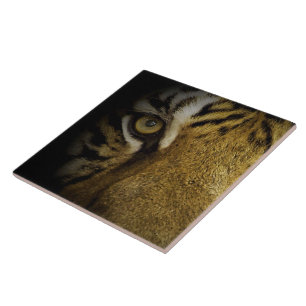 Carreau Dans l'œil d'un tigre