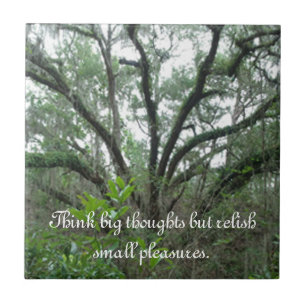 Carreau d'arbre paisible