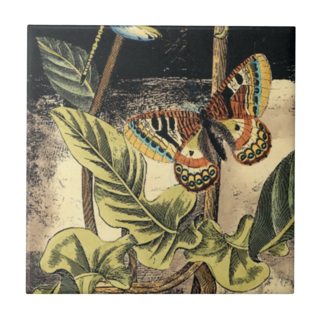 Carreau Dark Nature Scene par Vision Studio (Devant)