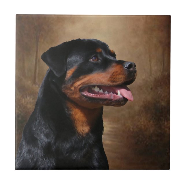 CARREAU DARK WATERS LADY LIBERTY RED WHITE AND BLEU CHEESE (Devant)