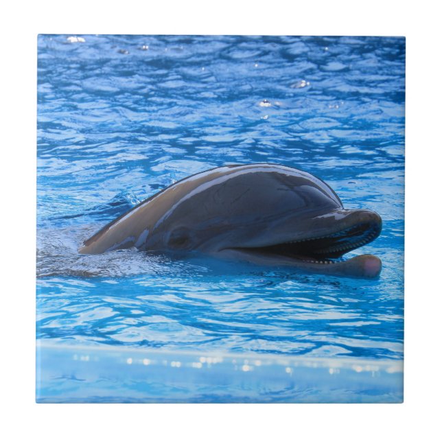 Carreau Dauphin (Devant)