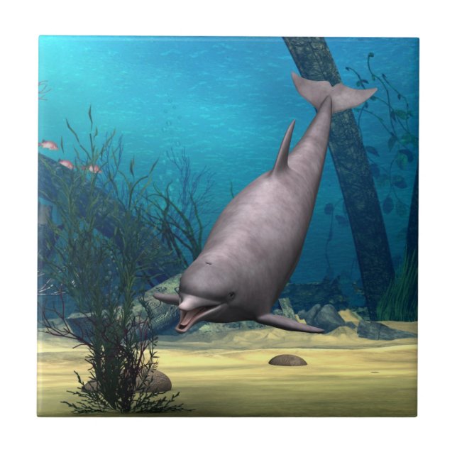 Carreau Dauphin (Devant)