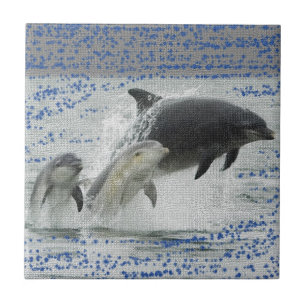 Carreau Dauphins