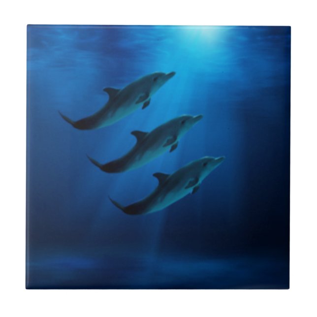 Carreau Dauphins sous des tuiles de l'eau (Devant)