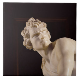 Carreau David, 1623-24 (marbre) (détail)