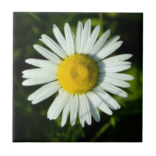 Carreau Dazzling Daisy