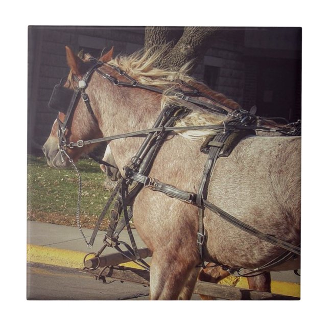 Carreau De beaux chevaux (Devant)