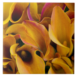Carreau De brillantes callas colorés au