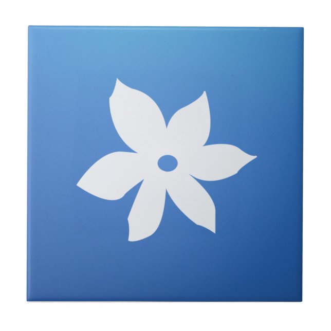 Carreau de céramique (Devant)