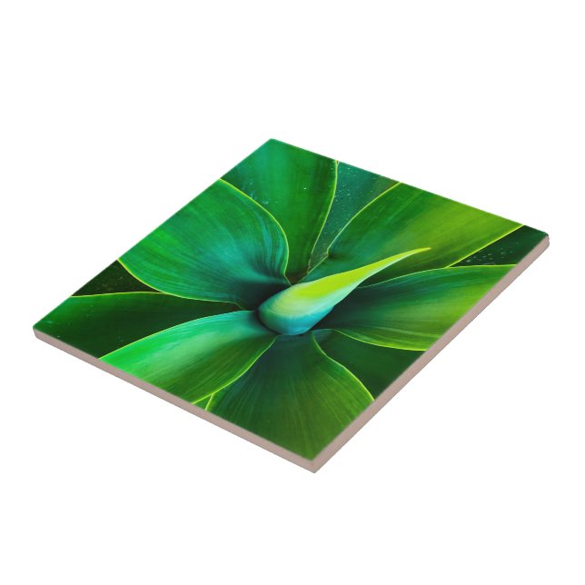 Carreau de céramique Agave Design (Côté)
