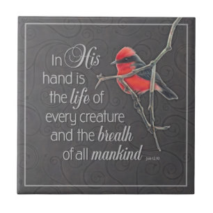 Carreau de céramique cardinal