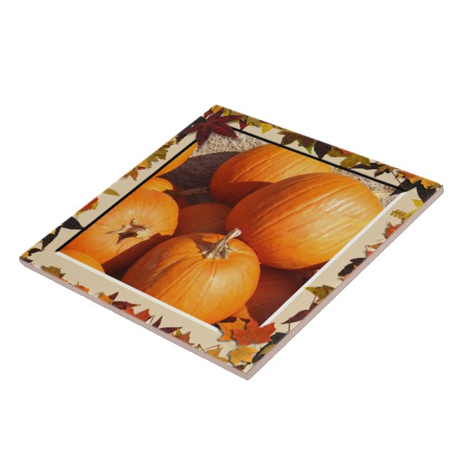 Carreau de céramique - citrouilles encadrés par (Côté)