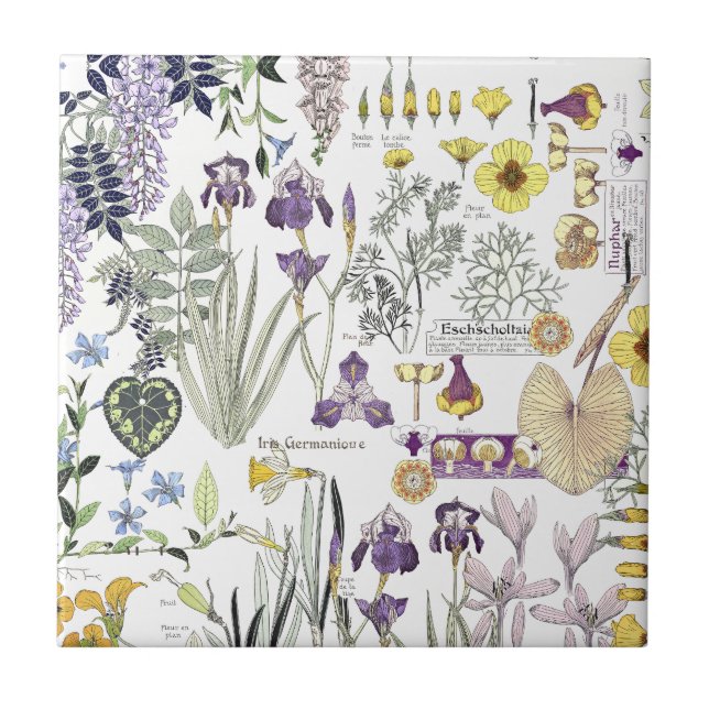 Carreau de céramique d'art de fleur vintage (Devant)