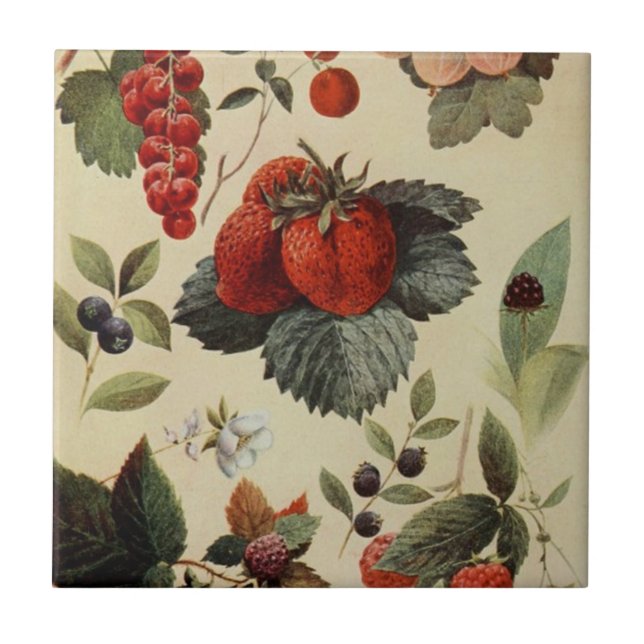 Carreau de céramique de BAIES de BAIES (Devant)