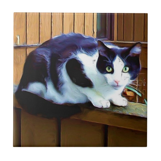 Carreau de céramique de chat noir et blanc (Devant)