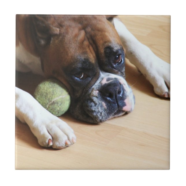 carreau de céramique de chien de boxeur (Devant)