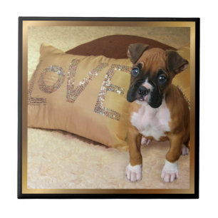 Carreau de céramique de chien de boxeur d'amour