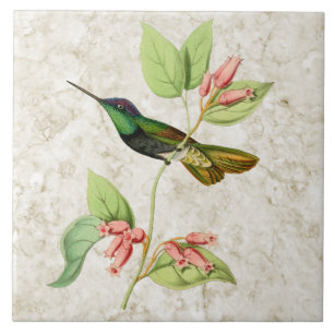 Carreau de céramique de colibri magnifique