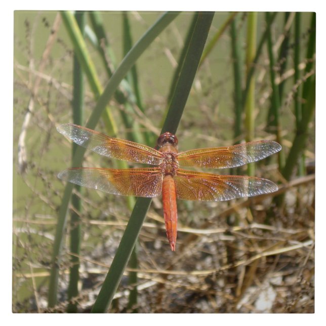 Carreau de céramique de libellule (grande image) (Devant)