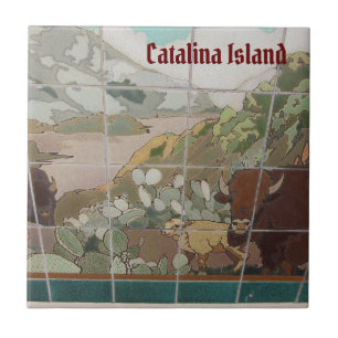 CARREAU DE CÉRAMIQUE DE L'ÎLE CATALINA CATALINA BU