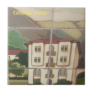 CARREAU DE CÉRAMIQUE DE L'ÎLE CATALINA ENDROIT PRÉ