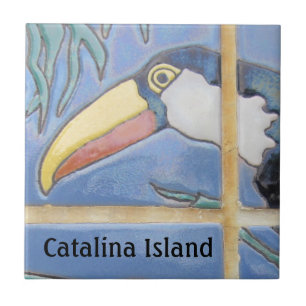 CARREAU DE CÉRAMIQUE DE L'ÎLE CATALINA FACE DE CAT