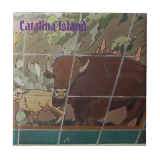 CARREAU DE CÉRAMIQUE DE L'ÎLE CATALINA FACE D'ÎLE