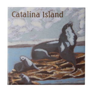 CARREAU DE CÉRAMIQUE DE L'ÎLE CATALINA FAMILLE CAT