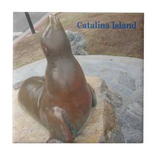 CARREAU DE CÉRAMIQUE DE L'ÎLE CATALINA LE BEN