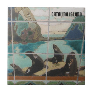 CARREAU DE CÉRAMIQUE DE L'ÎLE CATALINA LES INSULAI