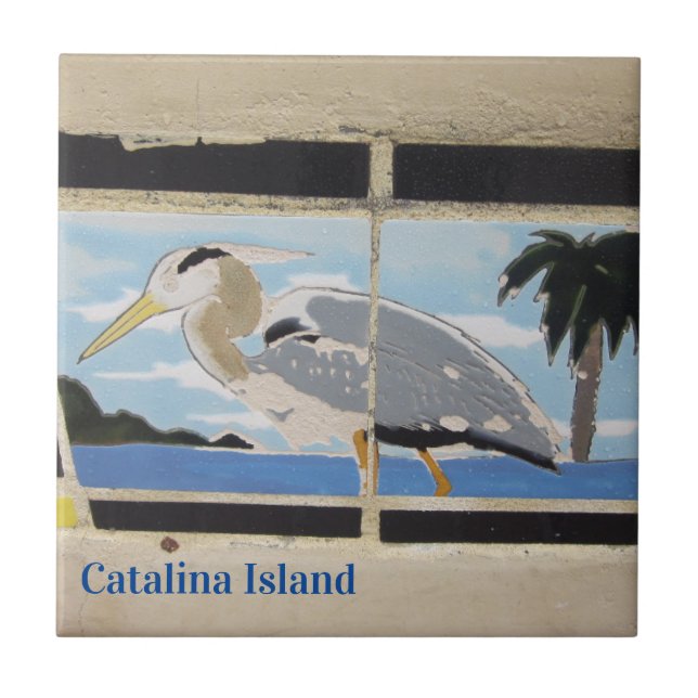 CARREAU DE CÉRAMIQUE DE L'ÎLE DE CATALINA OISEAU D (Devant)