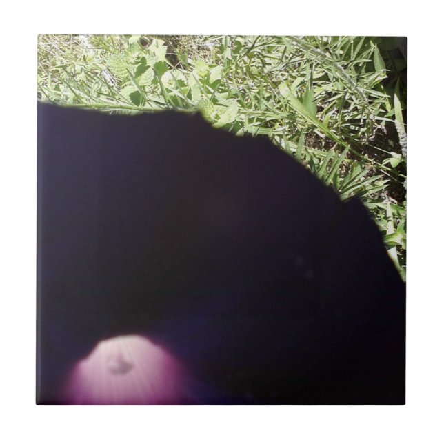 Carreau de céramique de photo florale (Devant)