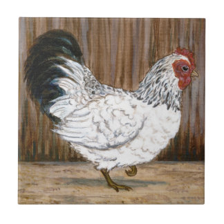 Carreau de céramique de poulet blanc