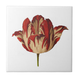 Carreau de céramique de tulipe botanique vintage