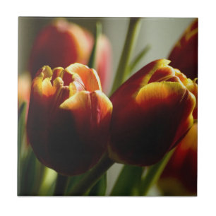 Carreau de céramique de tulipes de bonbons au ma