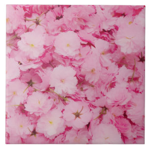 Carreau de céramique Fleur de cerisier rose floral