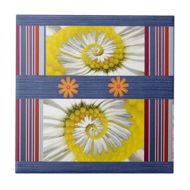 Carreau de céramique Fleur de marguerite blanche (Devant)