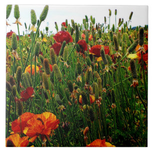 Carreau de céramique floral : Gisements de fleur,