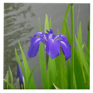Carreau de céramique Iris Bleu
