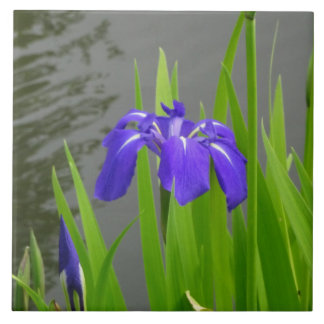 Carreau de céramique Iris Bleu