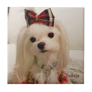 Carreau de céramique maltais