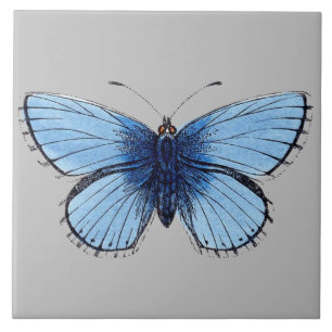 Carreau de céramique - Papillon bleu gris clair