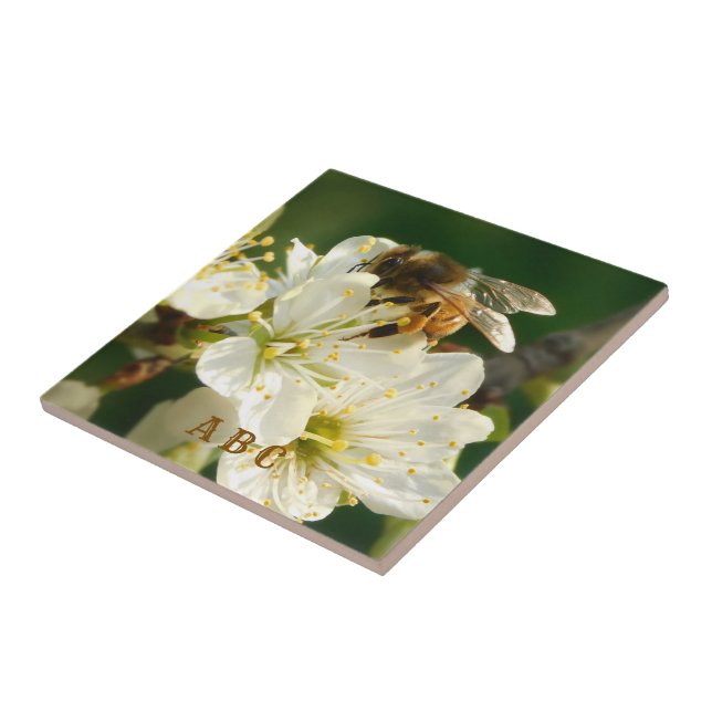 Carreau de céramique représentant une abeille à mi (Côté)