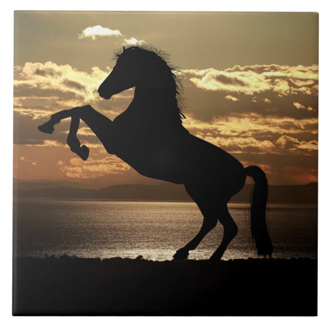 carreau de cheval au coucher du soleil (Devant)
